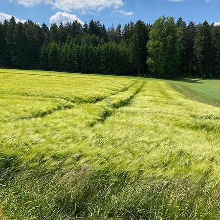 Haus Mit Geschichte In Appartamento Mähring